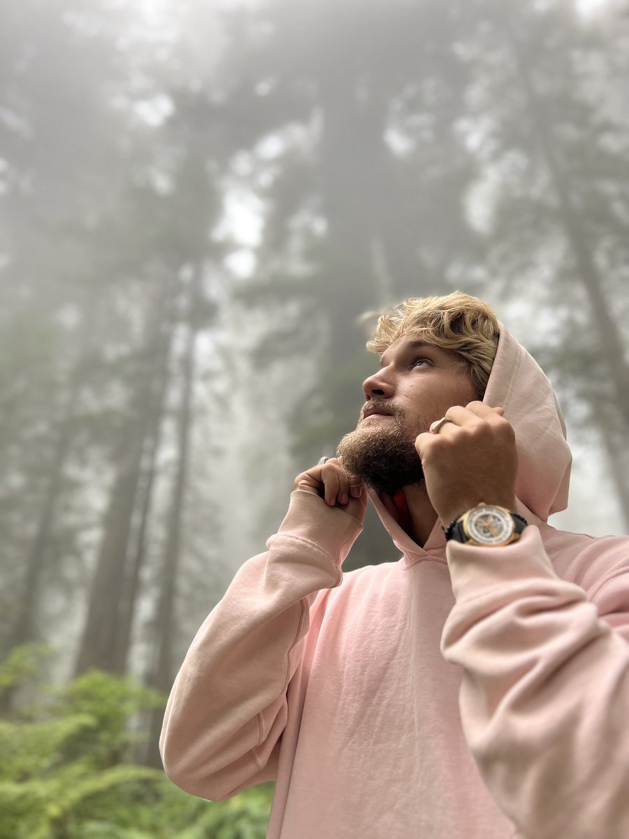 Daze (@dak_daze) — self-posted photo from Northern California redwoods, Sept 2023